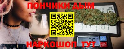 гидропоника Камышлов
