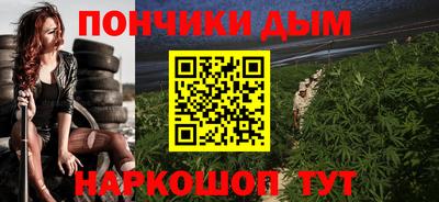 гидропоника Камышлов