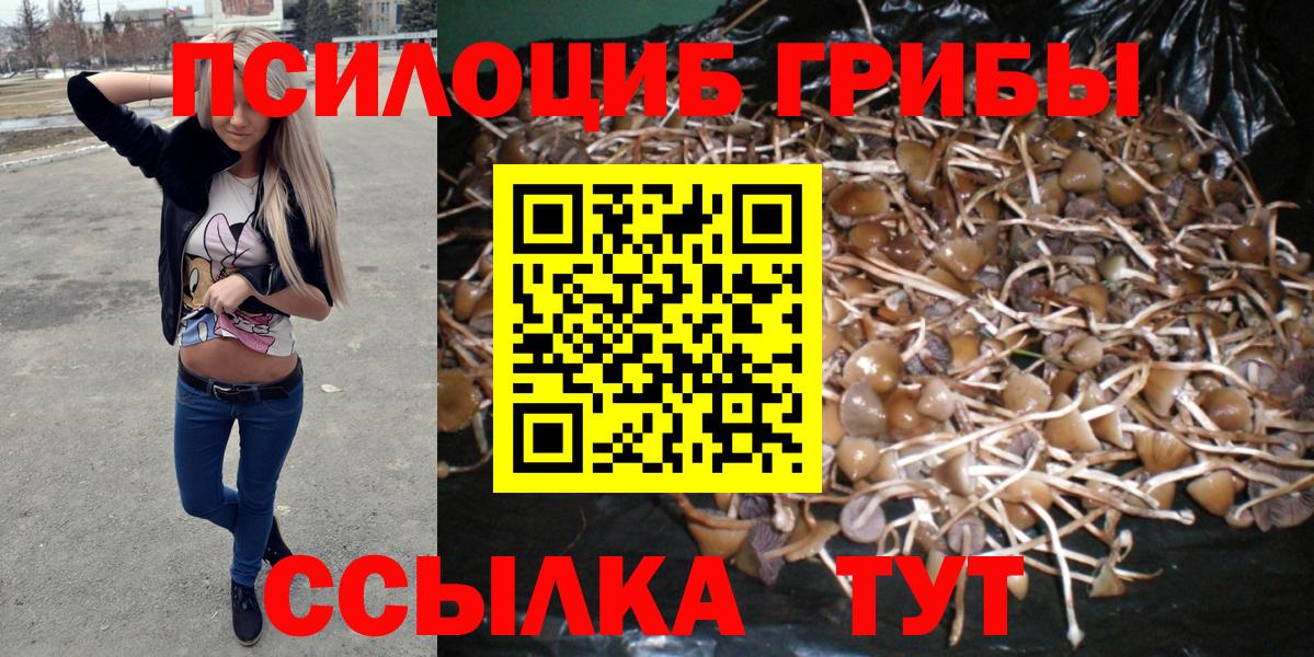 Кушва  Псилоцибиновые грибы Psilocybe  Вход с VPN 
