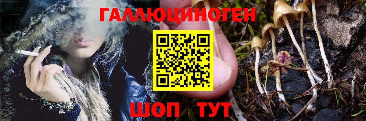 Псилоцибиновые грибы мухоморы Кушва
